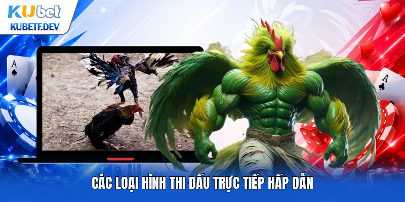 Các loại hình thi đấu trực tiếp hấp dẫn