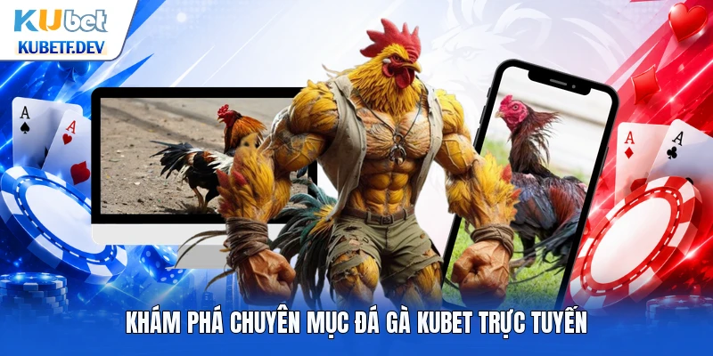 Khám phá chuyên mục đá gà Kubet trực tuyến